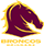 broncos_prim_rgb_on_pms222 copy